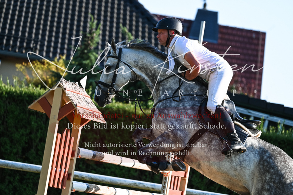 DSC_3158 | Pferde- und Turnierfotografie in Westsachsen. Pferdeportraits, Auftragszeichnungen und intuitive Kunst.