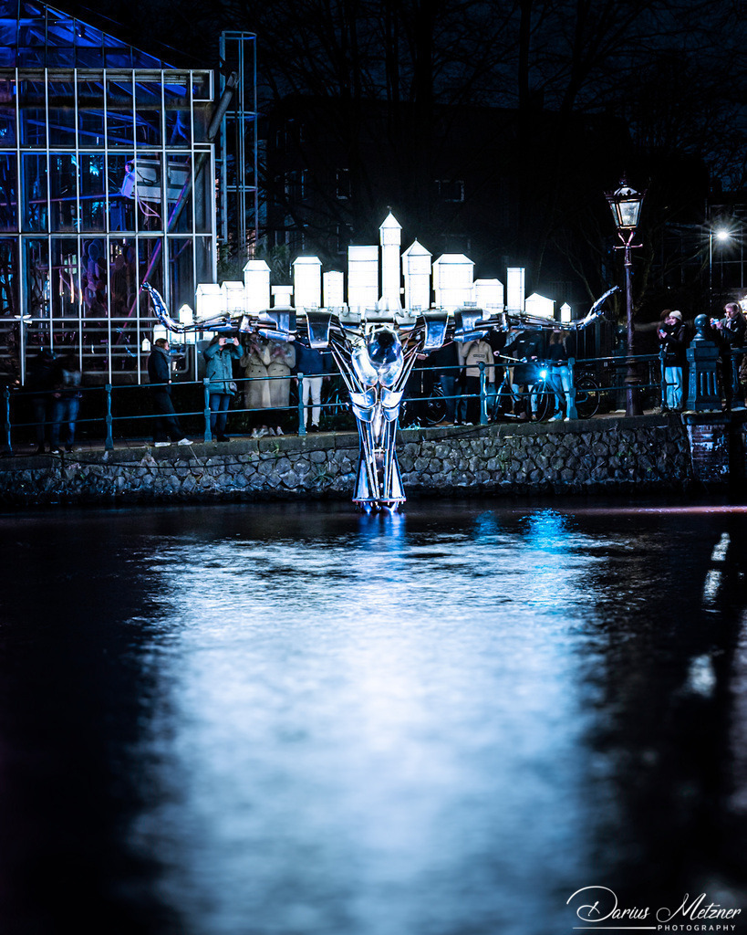 _DSC4415 | Fotografien, Fotos und Bilder aus Mainz, Frankfurt, Wiesbaden und anderen Orten auf der Welt - Fotografiert von Darius Metzner