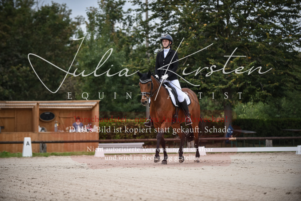 DSC_7953 | Pferde- und Turnierfotografie in Westsachsen. Pferdeportraits, Auftragszeichnungen und intuitive Kunst.