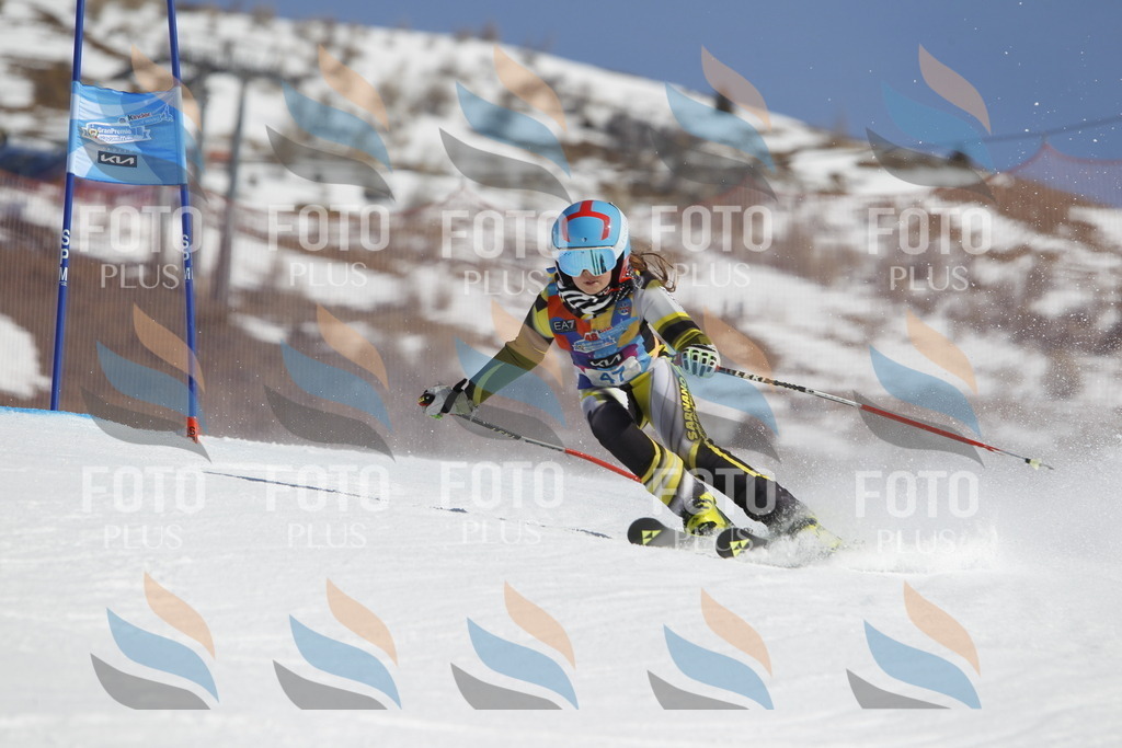 _U3G9344 | holidayphoto