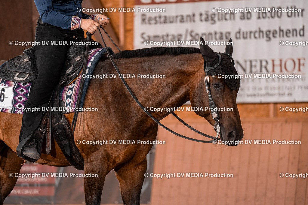 NE100239 | dv-media-shop - Realisiert mit Pictrs.com