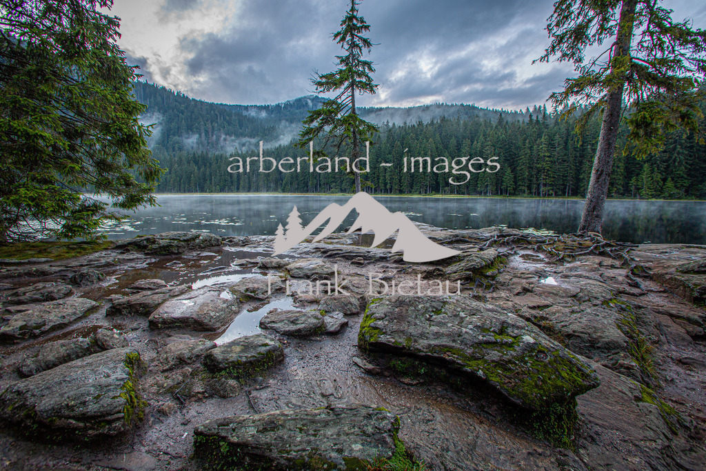_Z5A7105 | bei jedem Wetter ein einzigartiger Ort im Bayerischen Wald
