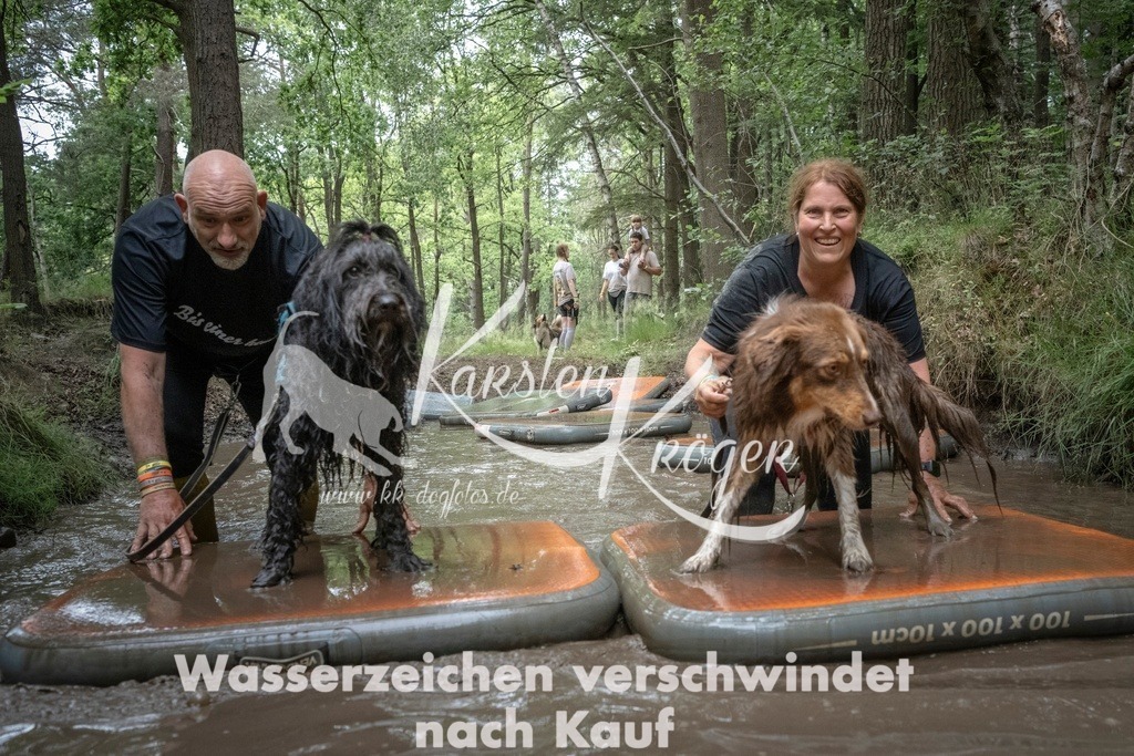 1212_ZZ97803T | kk-dogfotos