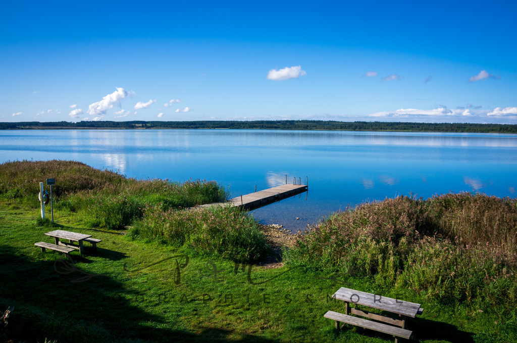 _Sommer2022-0508 | Photographies and more - Realisiert mit Pictrs.com