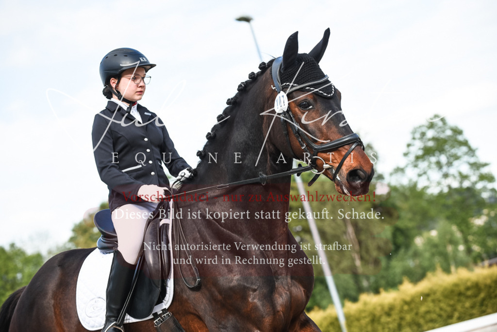 20230518_JK-Röhrsdorf-12-0741 | Pferde- und Turnierfotografie in Westsachsen. Pferdeportraits, Auftragszeichnungen und intuitive Kunst.