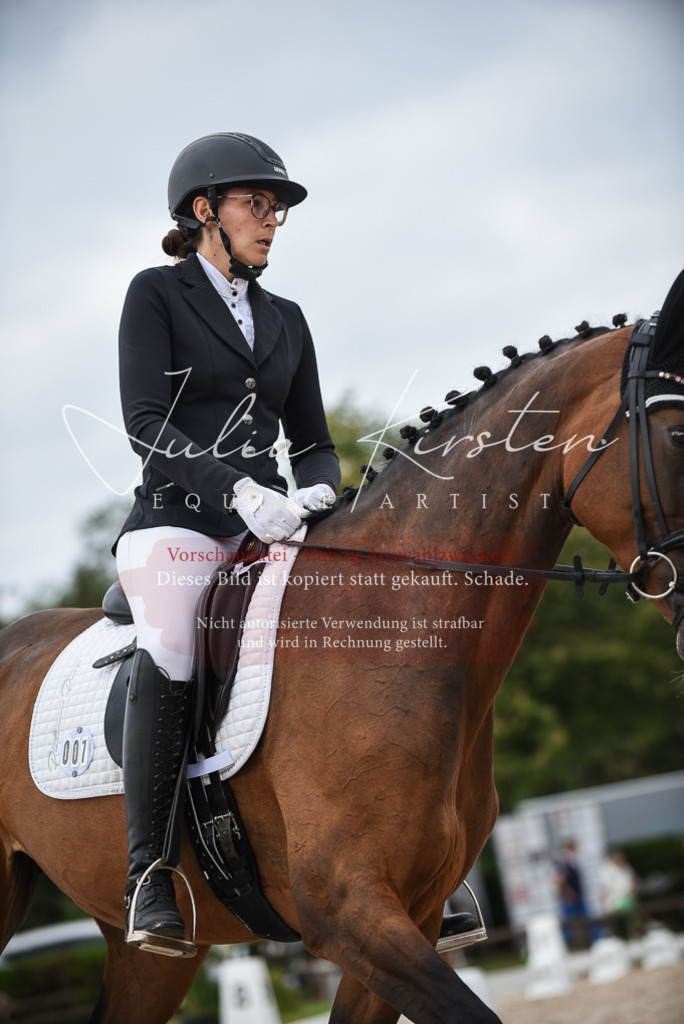 DSC_8558 | Pferde- und Turnierfotografie in Westsachsen. Pferdeportraits, Auftragszeichnungen und intuitive Kunst.