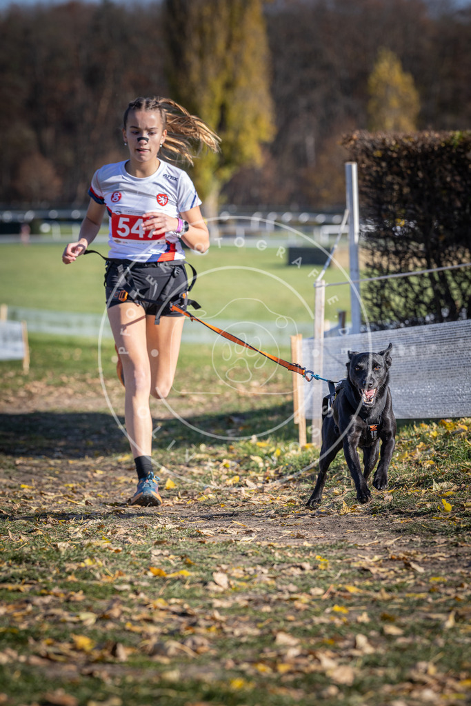 CaniXpix_DV3A8454 | Hundefotografie, Tierfotograf, Pfotenfotografie, Fotoshooting Hund, Hunde Portrait, Hundesport, Hundeportraits, Heideshooting, Hunde, Sportfotograf, Hundefotograf, Turnierhundsport, THS,  - Realisiert mit Pictrs.com