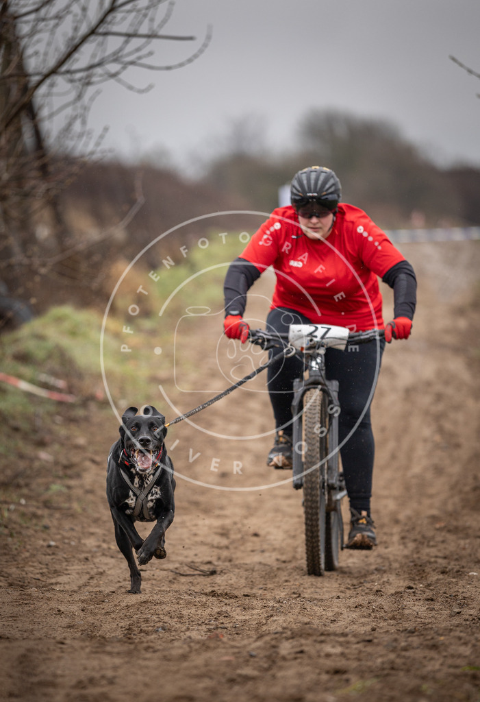 DV3A9029 | Hundefotografie, Tierfotograf, Pfotenfotografie, Fotoshooting Hund, Hunde Portrait, Hundesport, Hundeportraits, Heideshooting, Hunde, Sportfotograf, Hundefotograf, Turnierhundsport, THS,  - Realisiert mit Pictrs.com