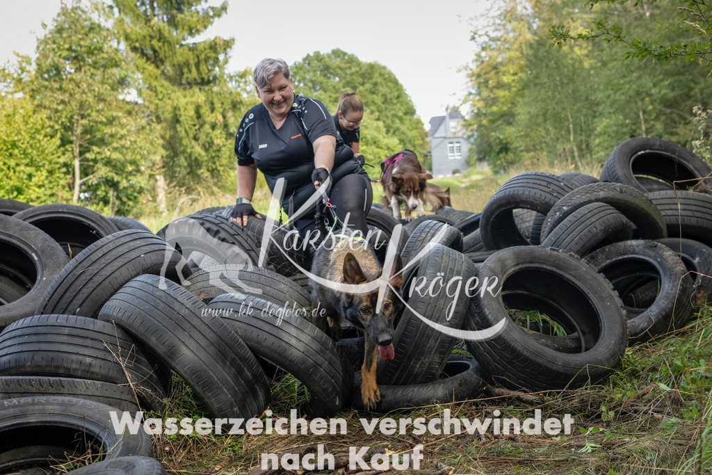 1504_ZZ91038-Bearbeitet | kk-dogfotos