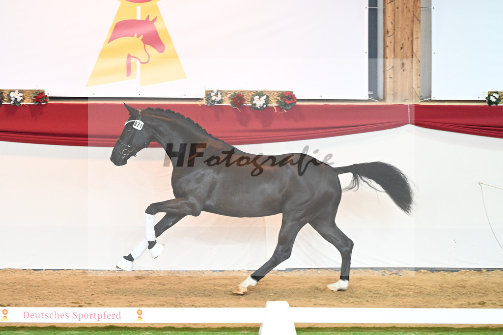 Kat-Nr. 71 Toto jr_Winklmaier_1230389 | hf-fotografie - Realizzato con Pictrs.com
