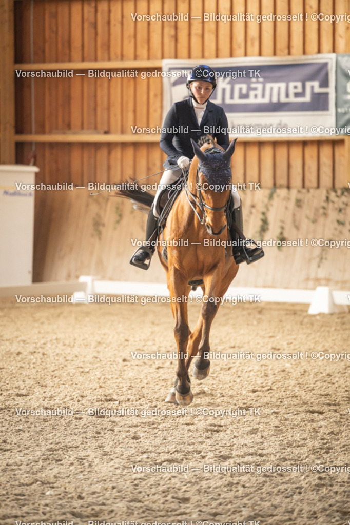 _D5A3239 | Emotionale Pferde- & People-Fotografie rund um Heidelberg, Leimen & Umgebung. Natürliche Fotos von Pferd, Mensch & Familie. Jetzt Termin sichern!