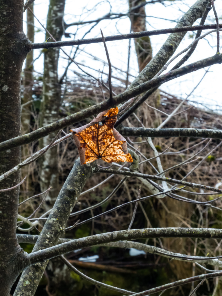 PSX_20230313_000848 | mtkfoto_ - Realisiert mit Pictrs.com