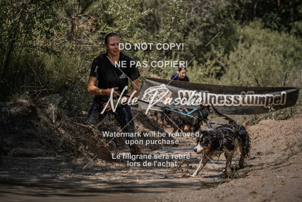nelerasche_Hoope2026_Sa1400-1430_33 | nelerasche