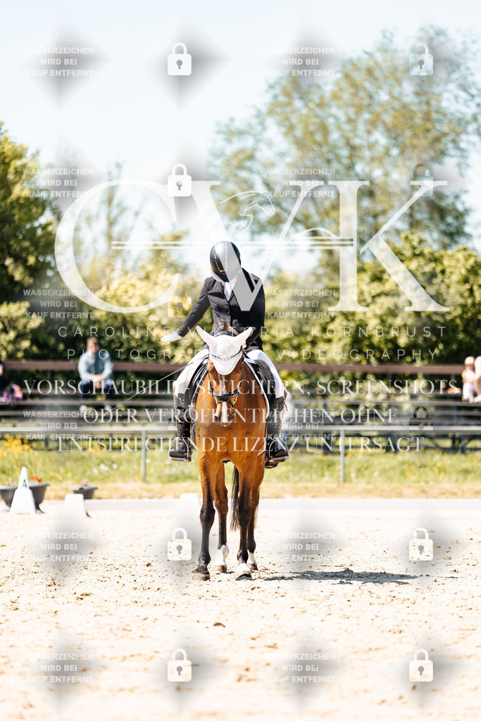 CK905943 | Turnierfotografie Pferdefotografie Trier Rheinland-Pfalz Pferdesport Reitsport Tierfotografie Sportfotografie Pferdevideo Pferdevideografie Equestrianvideography equestrianphotography  - Realisiert mit Pictrs.com