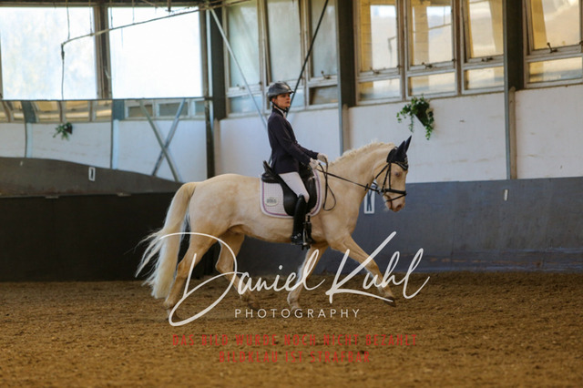 IMG_3256 | Turniersportfotografie; Pferdefotografie; Dressurfotografie