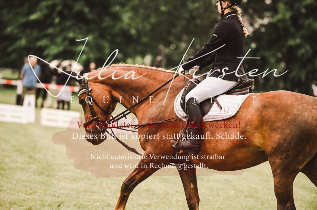 DSC_4842 | Pferde- und Turnierfotografie in Westsachsen. Pferdeportraits, Auftragszeichnungen und intuitive Kunst.