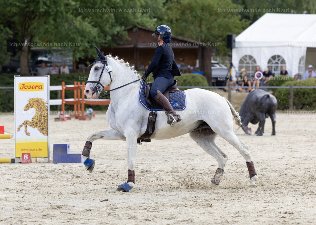 WS_SPEED_52_KerstinBernhardt-8 | working equitationturnier fotograf videograf stoibphotography marixx film working equitation deutschland reitsport turnierfotografie eventfotografie equestrian events