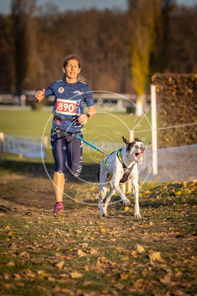 CaniXpix_DV3A4490 | Hundefotografie, Tierfotograf, Pfotenfotografie, Fotoshooting Hund, Hunde Portrait, Hundesport, Hundeportraits, Heideshooting, Hunde, Sportfotograf, Hundefotograf, Turnierhundsport, THS,  - Realisiert mit Pictrs.com