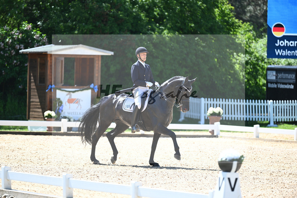 Spatz_Walentina_12246281 | hf-fotografie - Realisiert mit Pictrs.com