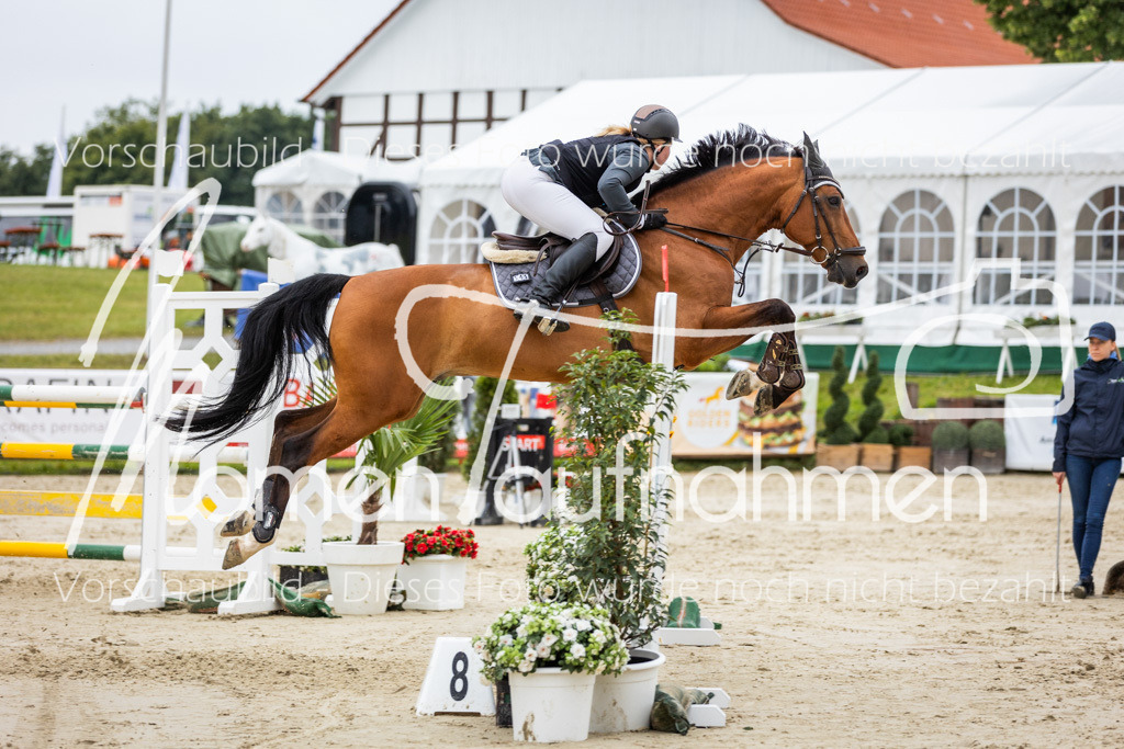 BHO-2PhSpr-M-305 | MomenTaufnahmen Pferdesportfotos