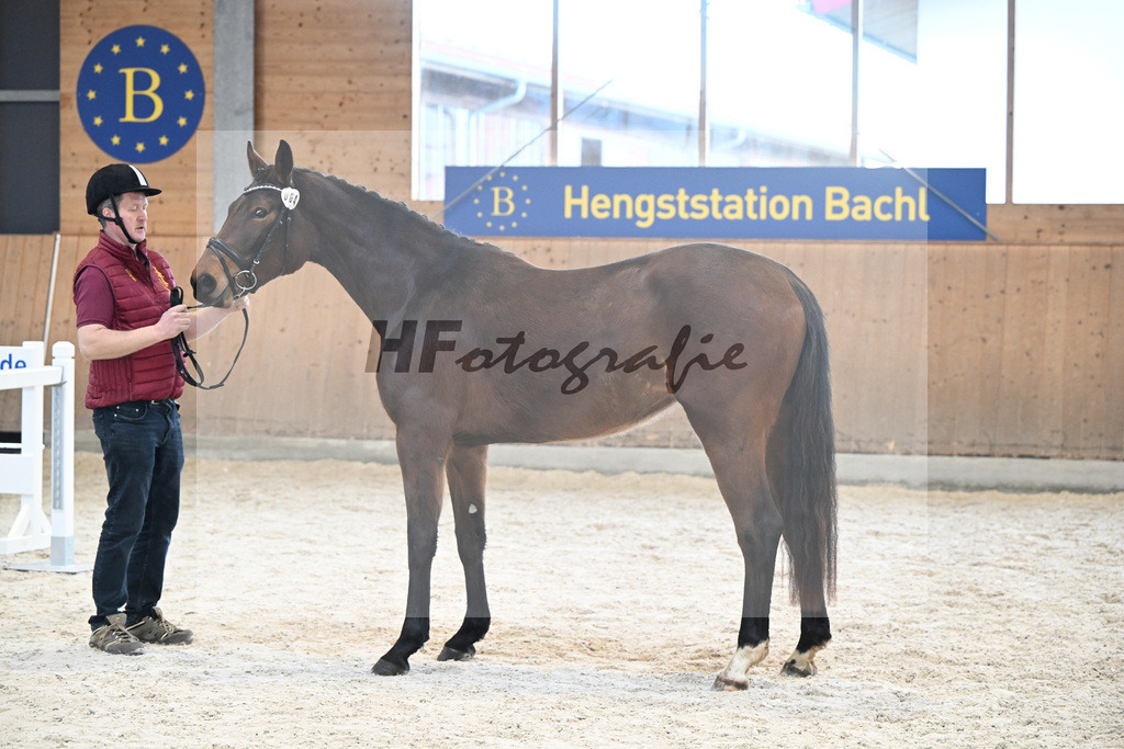 Kat-Nr. 64 Best Elegance v. Ellis_Birzer_5252172 | hf-fotografie - Realizzato con Pictrs.com