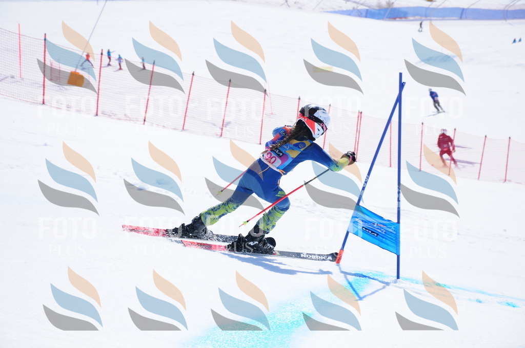 DSC_4635 | holidayphoto