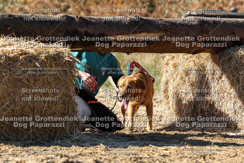 Dog Paparazzi - Strongdog 10-25-2703 | Dog Paparazzi Jeanette Grottendiek Fotografie & Videografie - Realisiert mit Pictrs.com