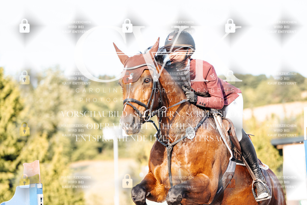 CK903556 | Turnierfotografie Pferdefotografie Trier Rheinland-Pfalz Pferdesport Reitsport Tierfotografie Sportfotografie Pferdevideo Pferdevideografie Equestrianvideography equestrianphotography  - Realisiert mit Pictrs.com
