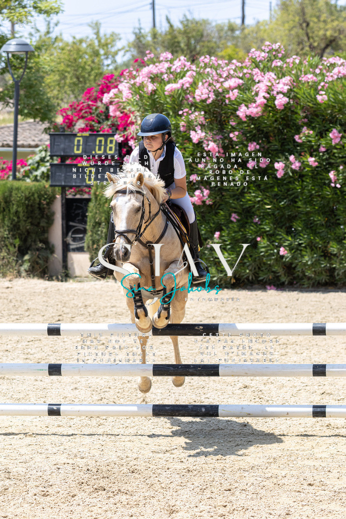 IMG_1163 | s-jay-photography - Realisiert mit Pictrs.com