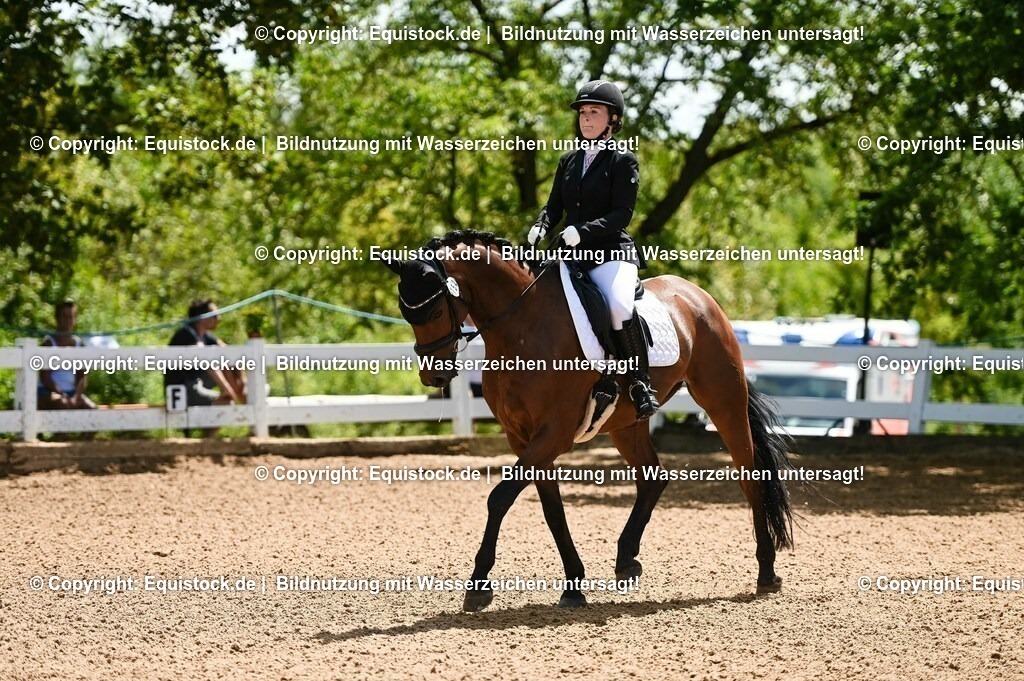 20230716_03_Dressurprfg. Kl.L - Tr._0091 | equistock
