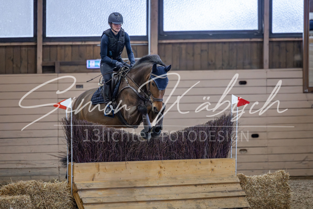 20260221-_3LI9303 | Tierfotografie Pferde, Hunde, Katzen, Haustiere.
Turnierfotografie Reitturniere, Reiten, Springreiten, Dressur in Hanau, dem Main-Kinzig-Kreis und dem Rhein-Main- Gebiet um Frankfurt
