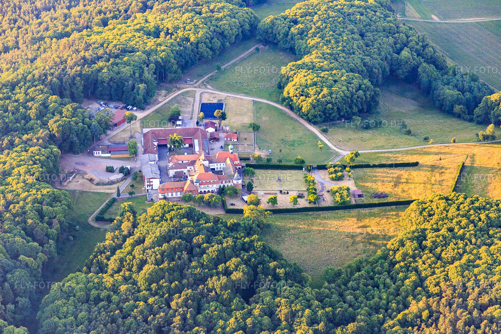 Luftbild: Pferdepension auf dem Kloster Liebfrauenberg in Bad Bergzabern im Bundesland Rheinland-Pfalz in Deutschland. Foto: IMG_080343.jpg vom 05.06.2015 durch Werner Riehm/FLY-FOTO.de