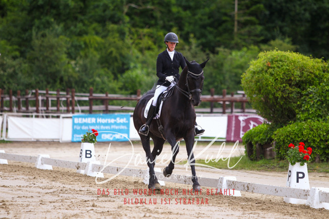 DKP47705 | Turniersportfotografie; Pferdefotografie; Dressurfotografie