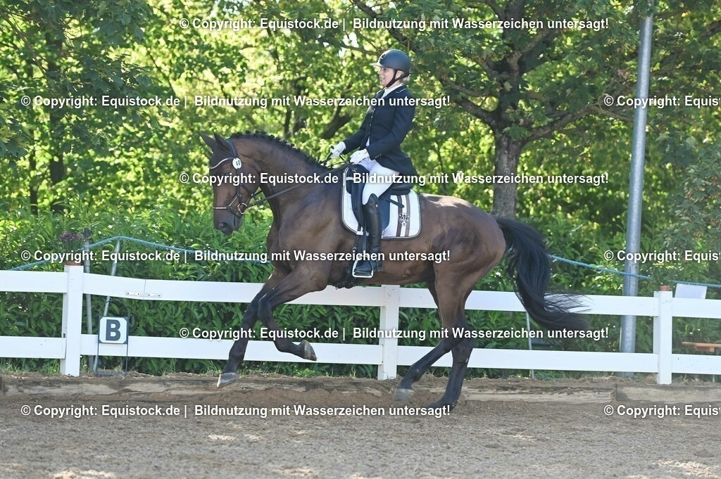 20230715_06_Dressurpferdeprfg. Kl.A_0048 | equistock