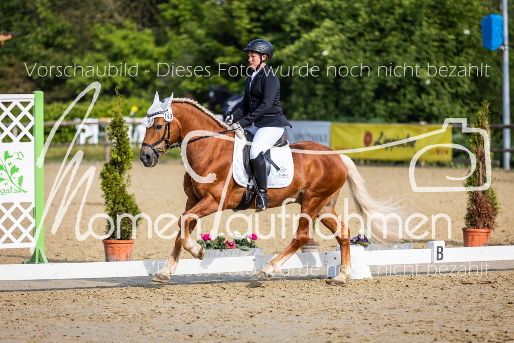 Donop24-A-Dre-144 | MomenTaufnahmen Pferdesportfotos