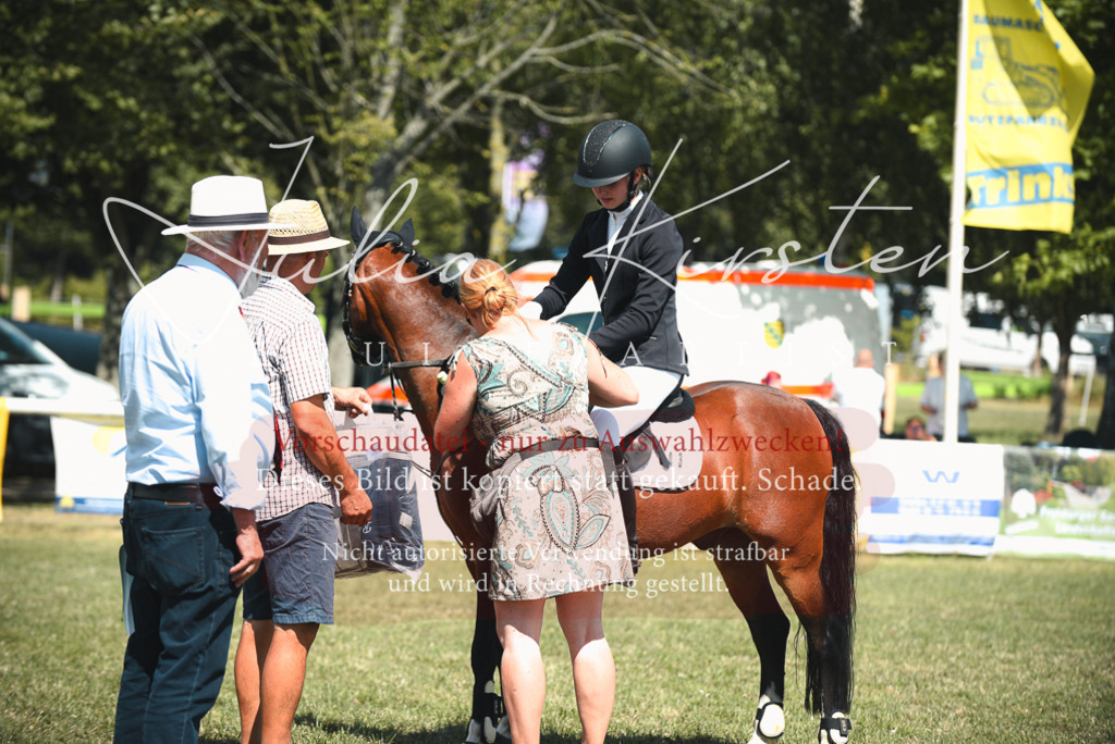 DSC_6814 | Pferde- und Turnierfotografie in Westsachsen. Pferdeportraits, Auftragszeichnungen und intuitive Kunst.