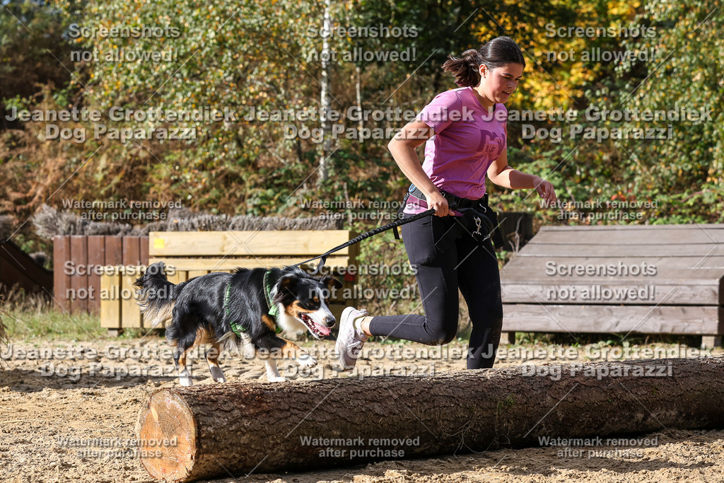 Dog Paparazzi - Strongdog 10-25-5065 | Dog Paparazzi Jeanette Grottendiek Fotografie & Videografie - Realisiert mit Pictrs.com