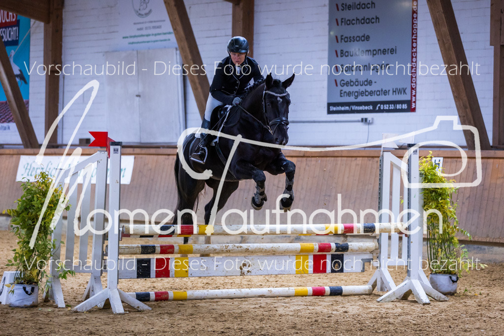 Sth-Gewöhnung-011 | MomenTaufnahmen Pferdesportfotos