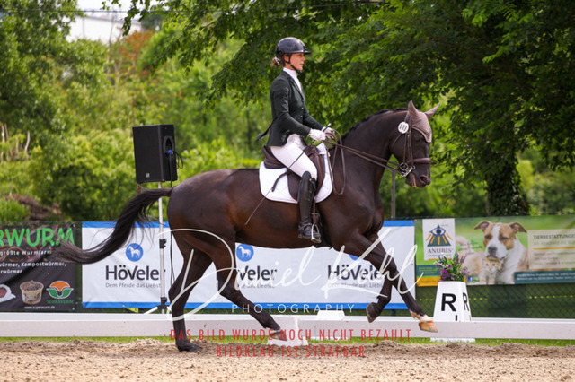 DKP41260 | Turnierfotos kaufen im Webshop von Daniel Kuhl Photography – entdecke professionelle Reitsportfotos aus Turnieren & Events. Hochwertige Turnierbilder online bestellen & sichern. Jetzt Fotos von Reitsportturnieren kaufen!