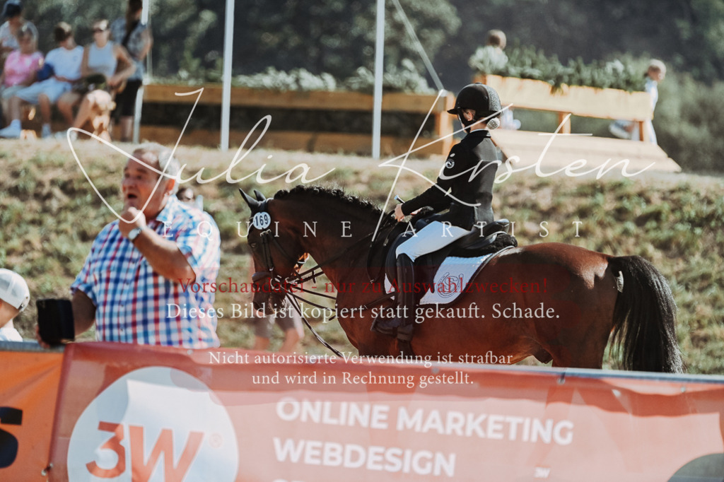 DSC_9516 | Pferde- und Turnierfotografie in Westsachsen. Pferdeportraits, Auftragszeichnungen und intuitive Kunst.