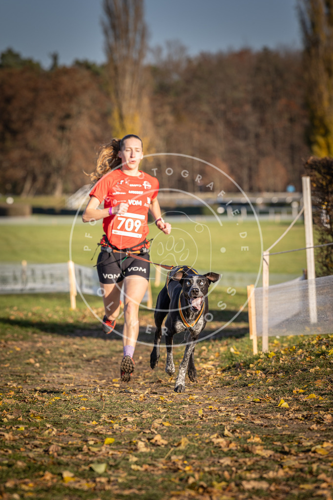CaniXpix_DV3A1593 | Hundefotografie, Tierfotograf, Pfotenfotografie, Fotoshooting Hund, Hunde Portrait, Hundesport, Hundeportraits, Heideshooting, Hunde, Sportfotograf, Hundefotograf, Turnierhundsport, THS,  - Realisiert mit Pictrs.com