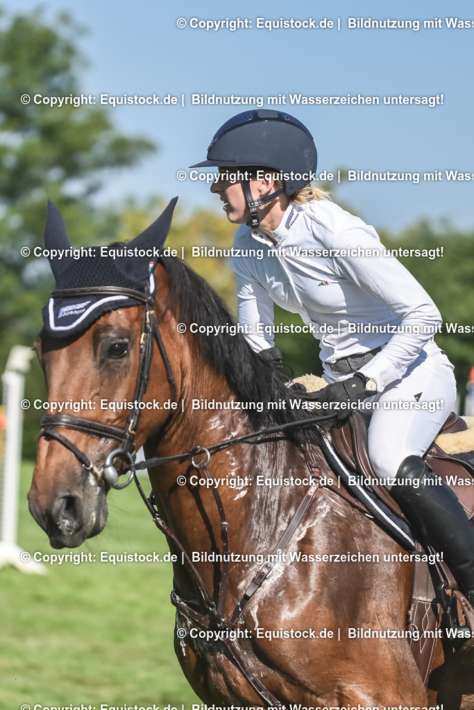 20230908_24_Springen_M_0016 | equistock