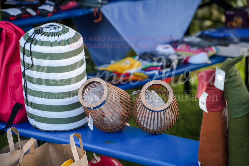 20250928_Hunderennen-336 | MuT (Mensch und Tier) mit Mona - Fotografie und Tierkommunikation - Realisiert mit Pictrs.com