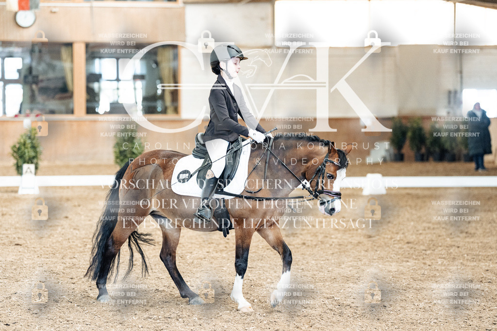 CK900640 | Turnierfotografie Pferdefotografie Trier Rheinland-Pfalz Pferdesport Reitsport Tierfotografie Sportfotografie Pferdevideo Pferdevideografie Equestrianvideography equestrianphotography  - Realisiert mit Pictrs.com