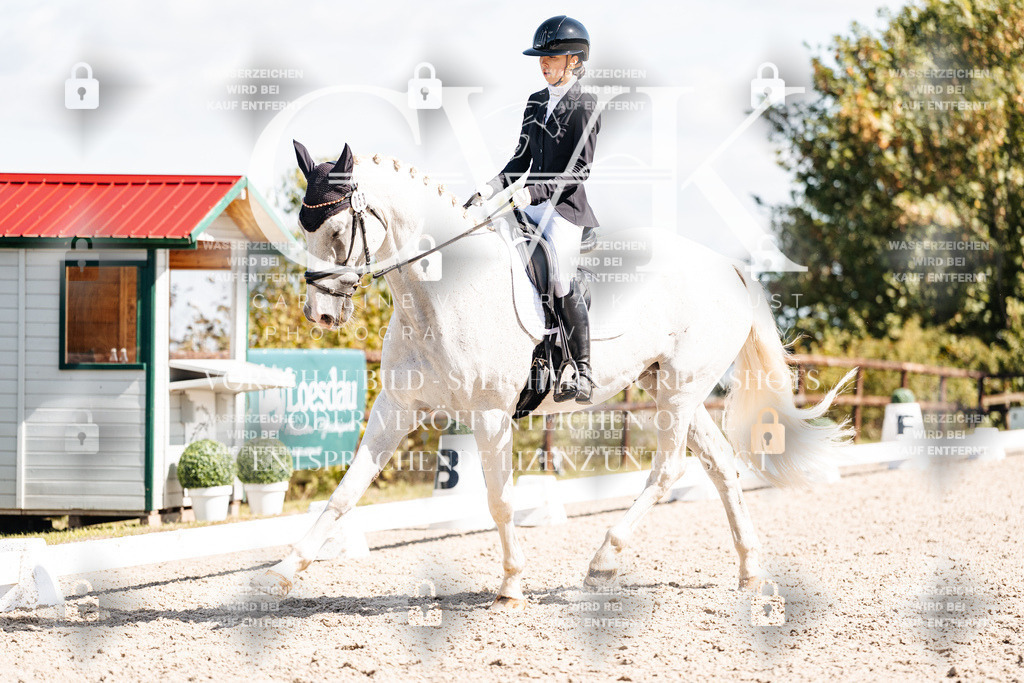 CK902924 | Turnierfotografie Pferdefotografie Trier Rheinland-Pfalz Pferdesport Reitsport Tierfotografie Sportfotografie Pferdevideo Pferdevideografie Equestrianvideography equestrianphotography  - Realisiert mit Pictrs.com