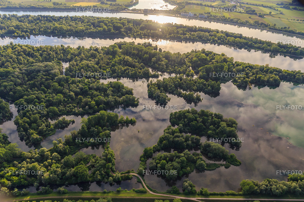 Herrenkopfbrücke im Naturschutzgebiet Taubergiessen zwischen Rheinauen und Rhein | Luftbild: Herrenkopfbrücke im Naturschutzgebiet Taubergiessen zwischen Rheinauen und Rhein im Ortsteil Rheinau in Ortenaukreis im Bundesland Baden-Württemberg in Deutschland. Foto: IMG_147327.jpg vom 29.05.2025 durch Werner Riehm/FLY-FOTO.de - Realisiert mit Pictrs.com