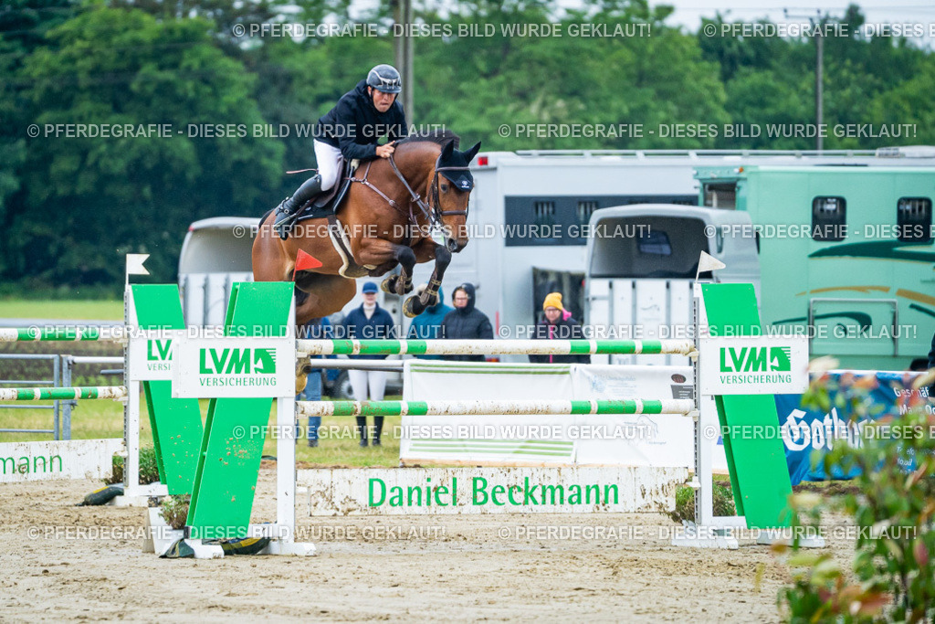 DSC00641 | Pferdegrafie