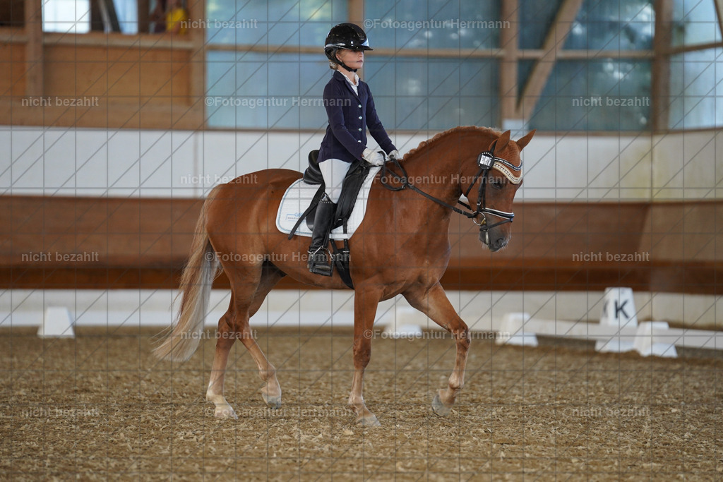 20240824-FAH07152 | Thierhaupten 2024, Bayerisches Landesponyturnier, Turnierbilder, Ponybilder, Turnierfotografen Bayern, Fotoagentur Herrmann