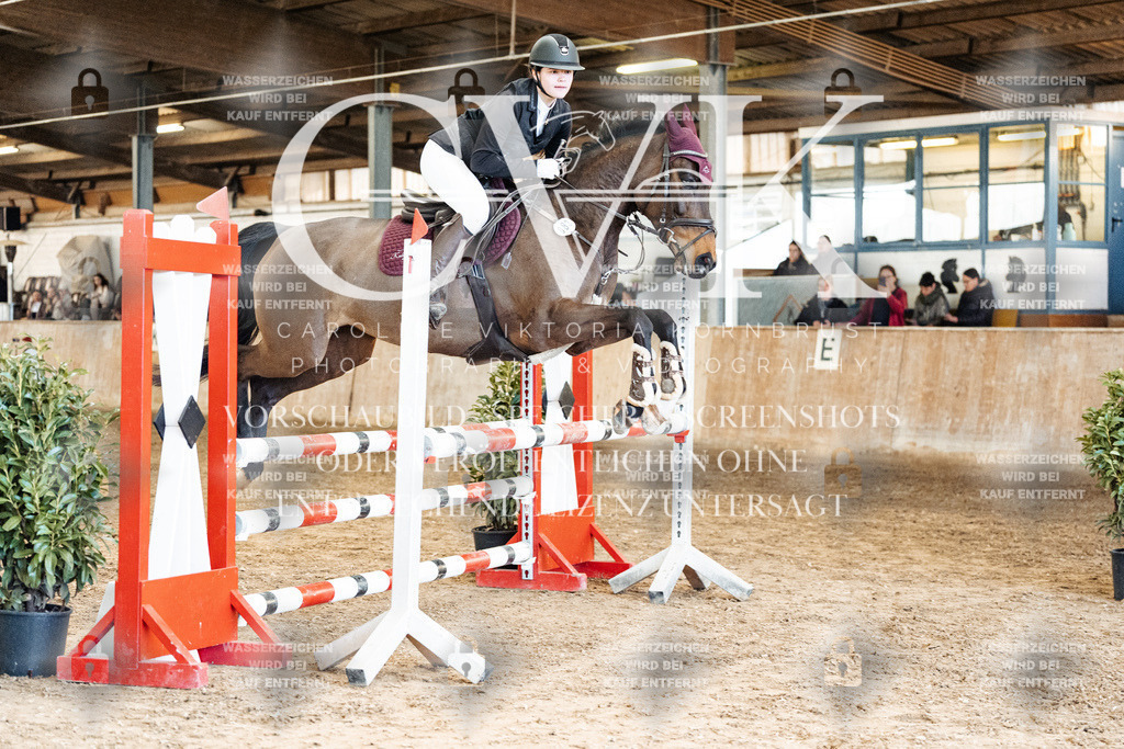 CK905143 | Turnierfotografie Pferdefotografie Trier Rheinland-Pfalz Pferdesport Reitsport Tierfotografie Sportfotografie Pferdevideo Pferdevideografie Equestrianvideography equestrianphotography  - Realisiert mit Pictrs.com