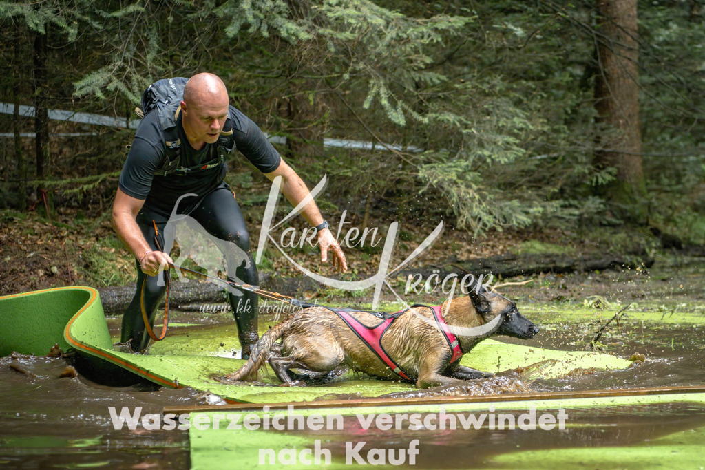 1540_ZZ91825-Bearbeitet | kk-dogfotos